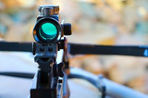 bow sights